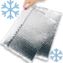 Insulated Mailer & Ice Packs (READ DESCRIPTION)
